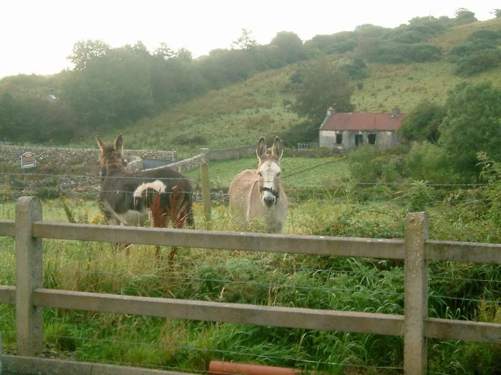Cillcoman Lodge B&B Westport