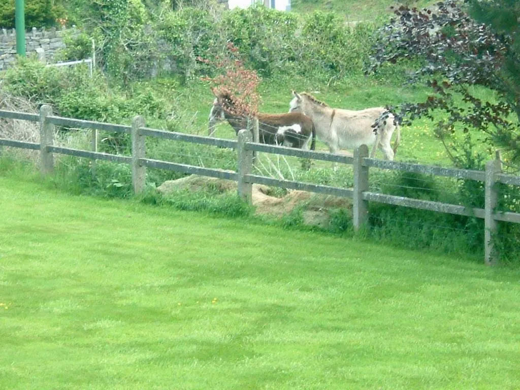 Cillcoman Lodge B&B Westport